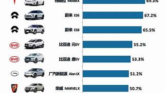 新能源汽车排行榜前十名_新能源汽车排行榜前十名品牌